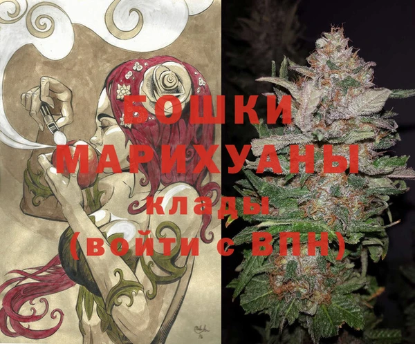 ешки Болотное