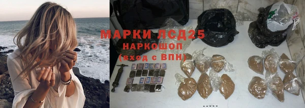 сатива Михайловка
