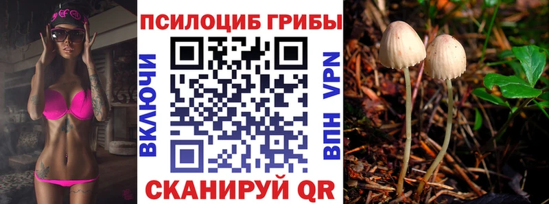 Галлюциногенные грибы Magic Shrooms Зима