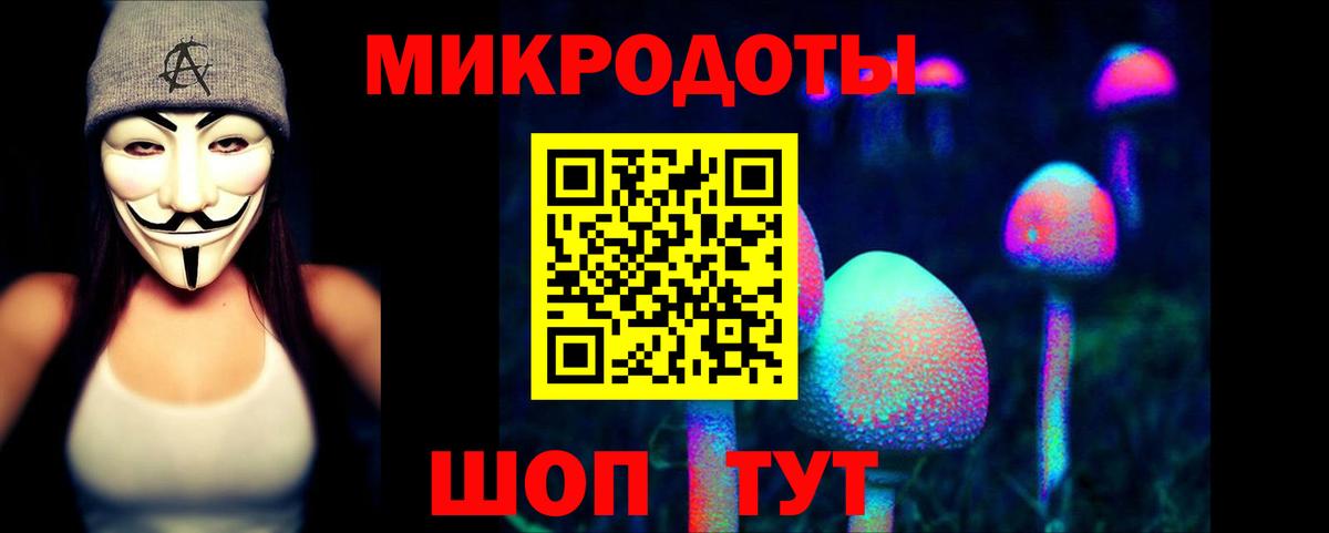 Псилоцибиновые грибы Psilocybine cubensis  Псилоцибиновые грибы Psilocybe  Вход с VPN  Зима 